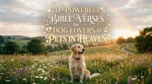 bible verses for dog lovers